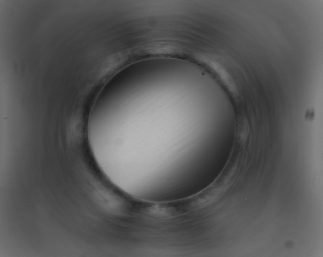 X0000094930261200712131544