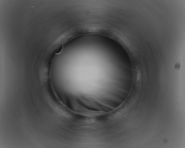X0000094930262200712131544