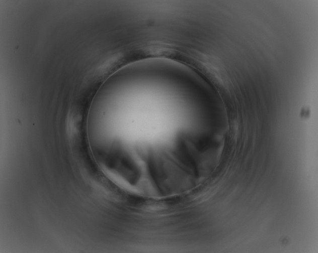 X0000094930263200712131544
