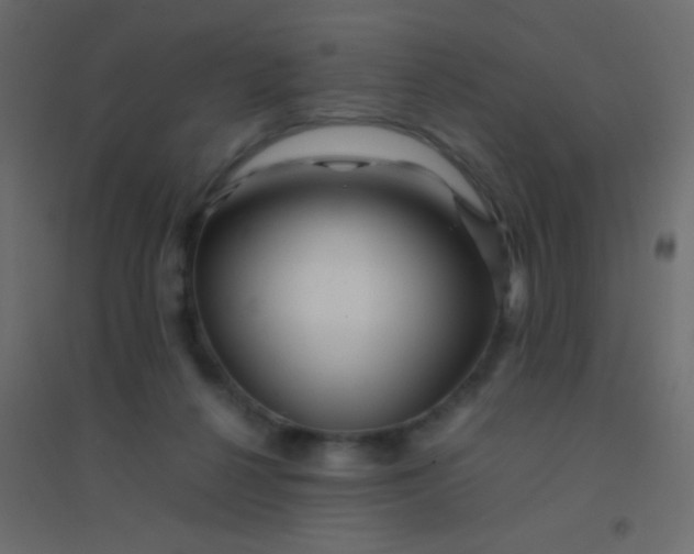 X0000094930264200712131544