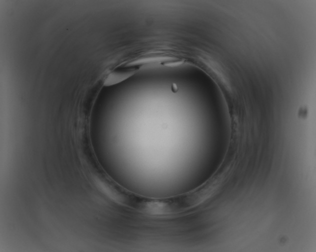 X0000094930265200712131544