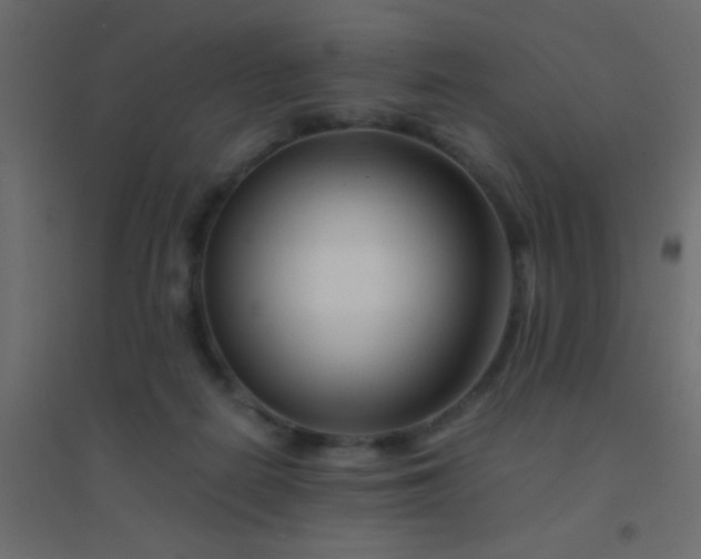 X0000094930266200712131544