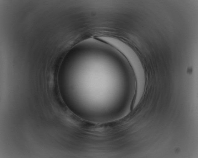 X0000094930267200712131544