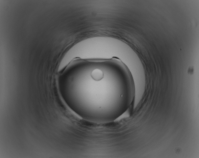 X0000094930268200712131544