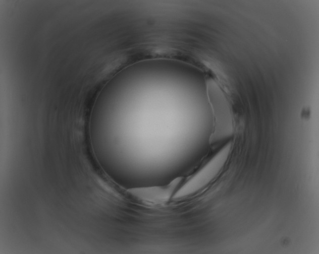 X0000094930269200712131544