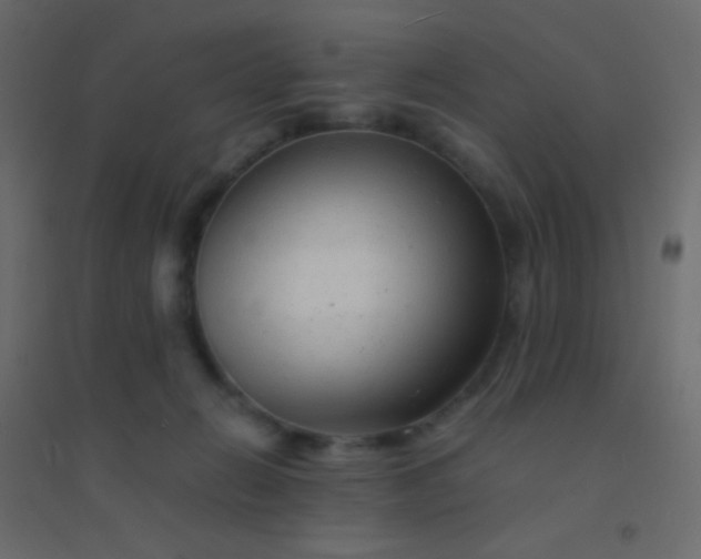 X0000094930270200712131544