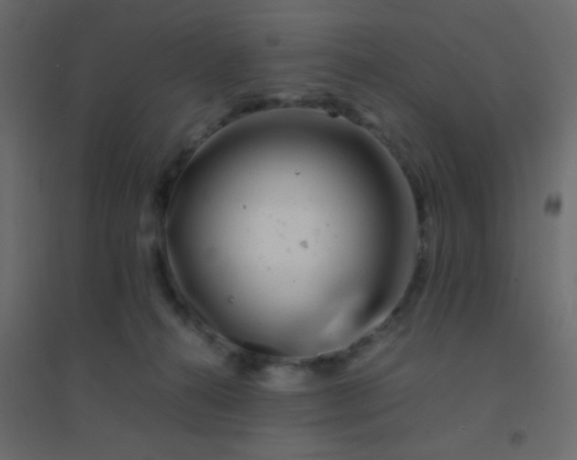 X0000094930272200712131544