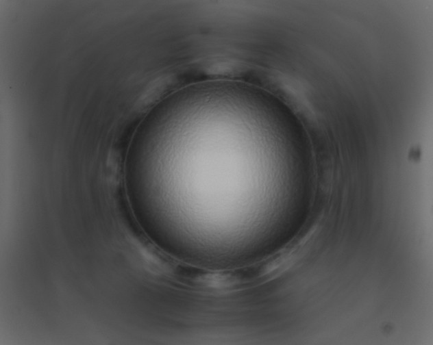 X0000094930273200712131544