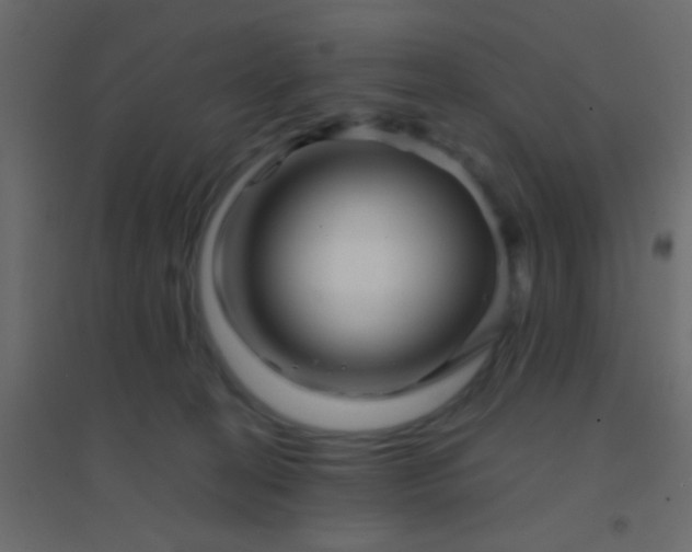 X0000094930274200712131544