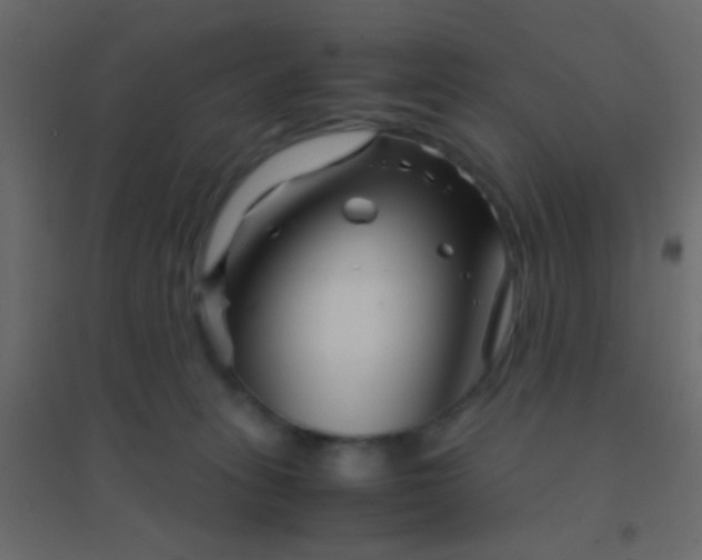 X0000094930275200712131544