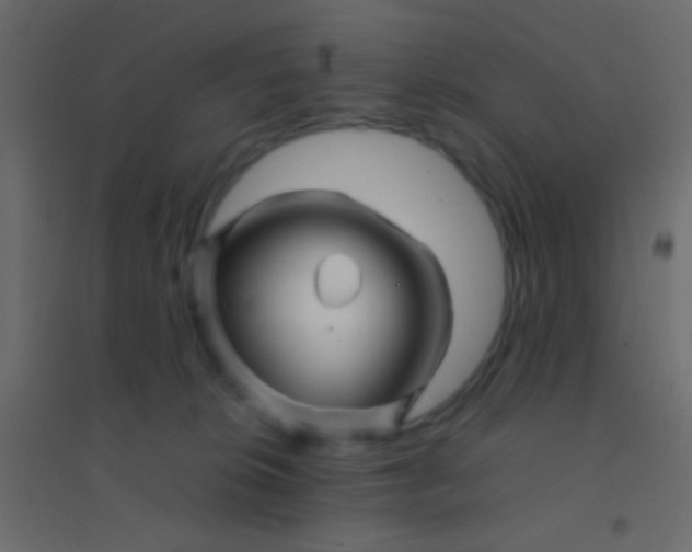 X0000094930276200712131544