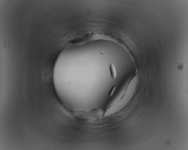 X0000094930277200712131544