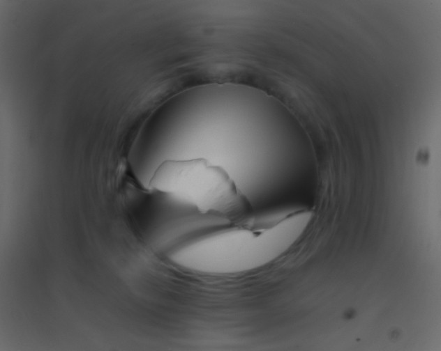 X0000094930278200712131544