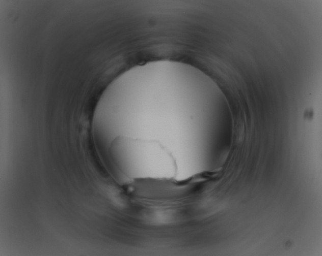 X0000094930279200712131544