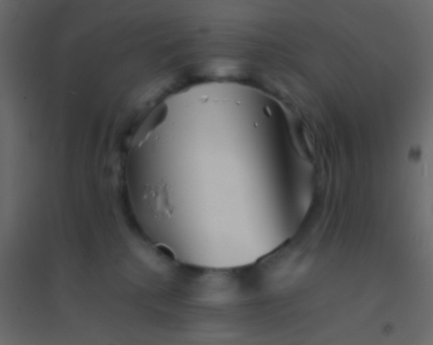 X0000094930280200712131544