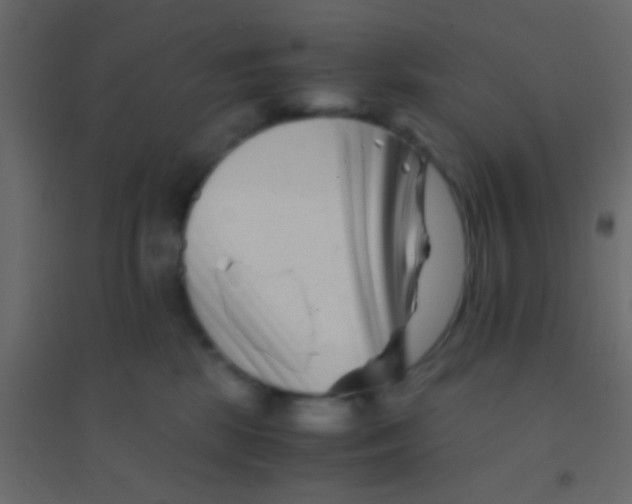 X0000094930281200712131544