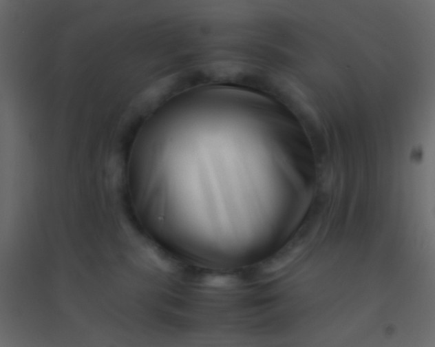 X0000094930283200712131544