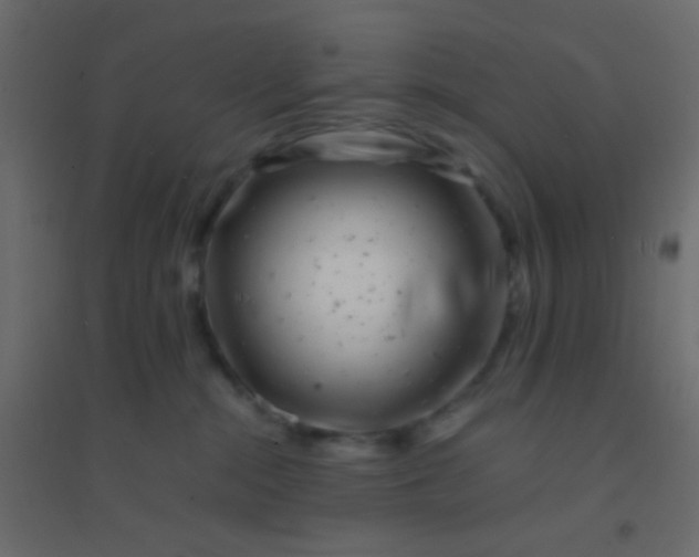 X0000094930284200712131544