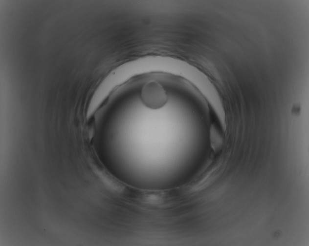 X0000094930285200712131544