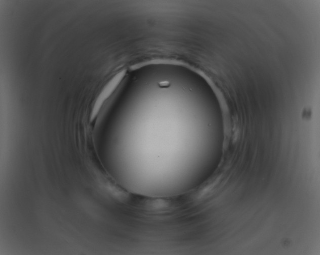 X0000094930287200712131544