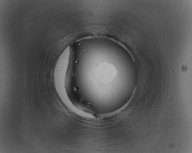 X0000094930288200712131544