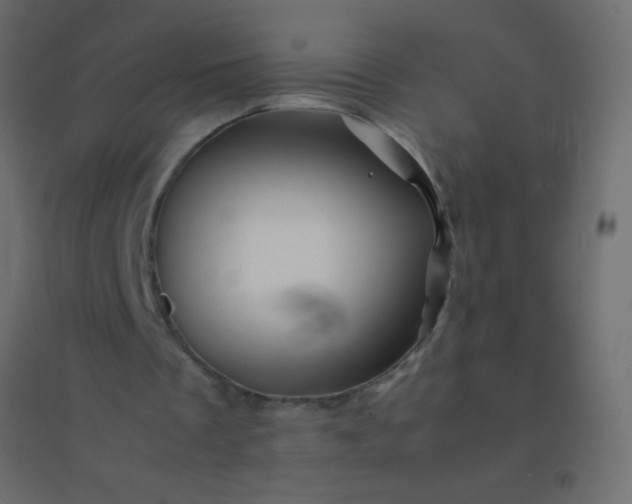 X0000094930289200712131544