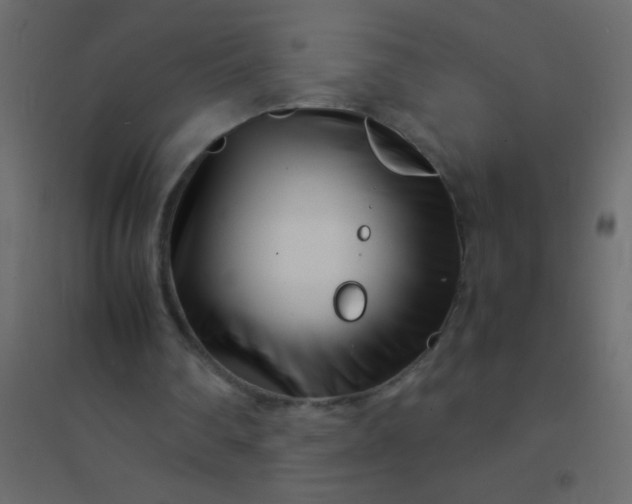 X0000094930290200712131544
