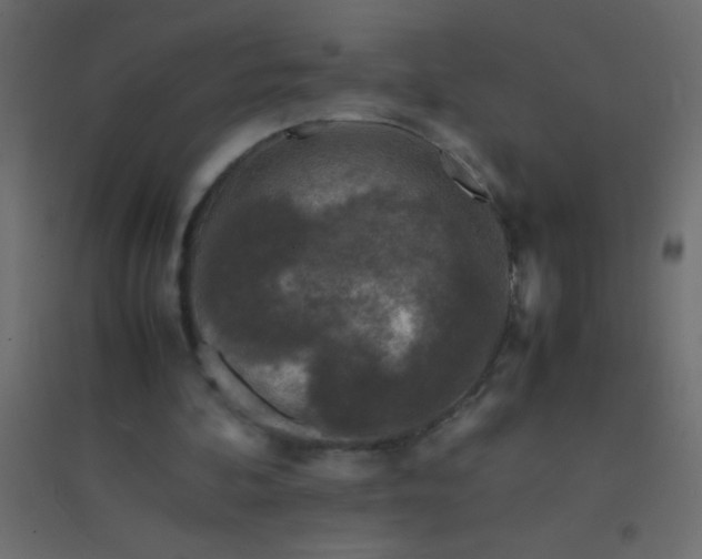 X0000094930292200712131543