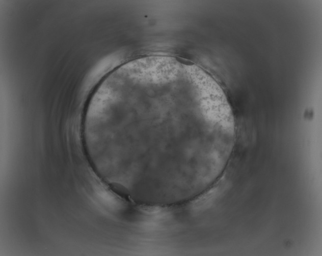 X0000094930293200712131543