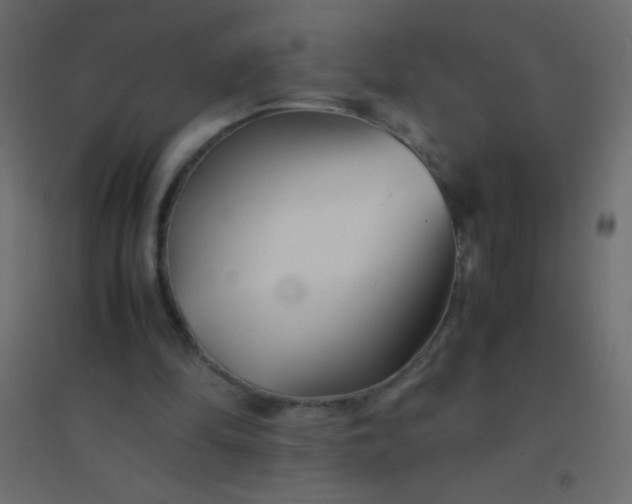 X0000094930294200712131543