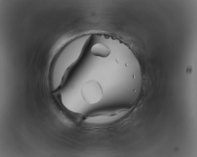 X0000094930296200712131543