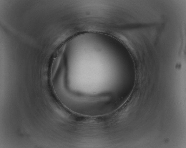 X0000094930299200712131543