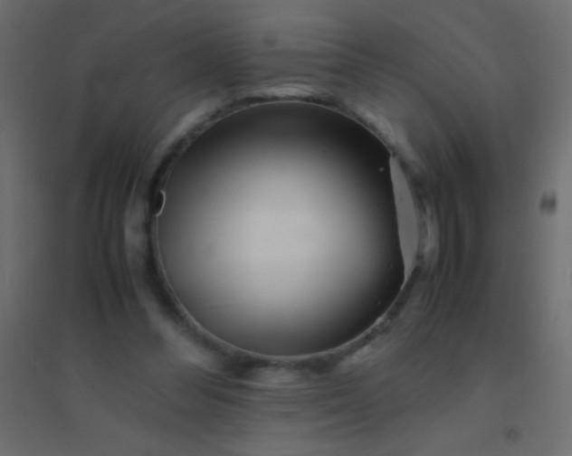 X0000094930300200712131543