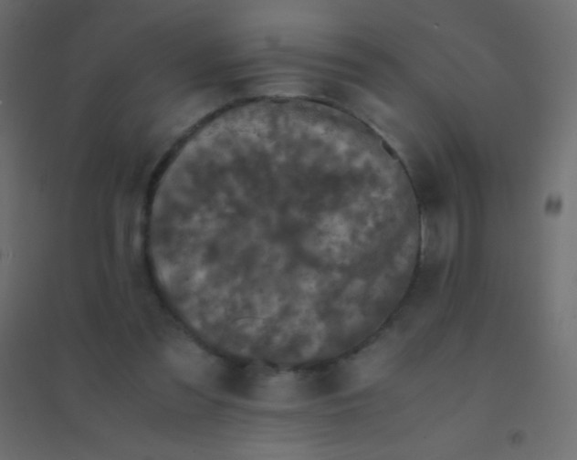 X0000094930301200712131543