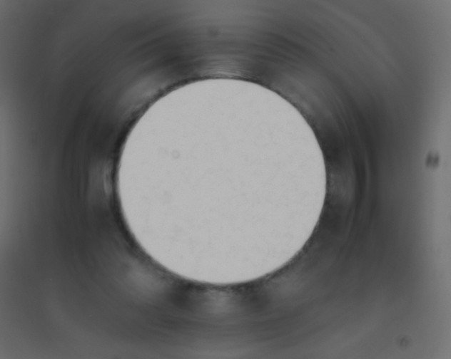 X0000094930302200712131543