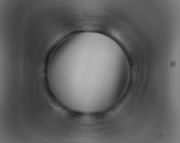 X0000094930303200712131543
