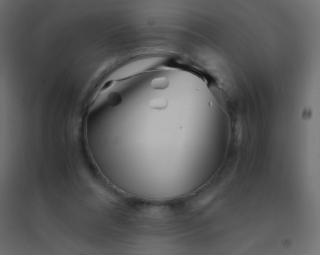 X0000094930304200712131543