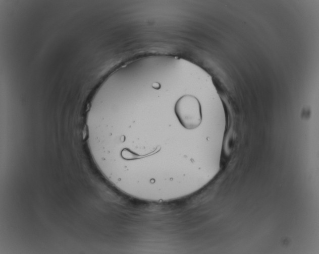 X0000094930305200712131543
