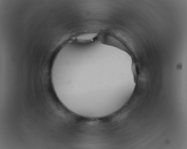 X0000094930306200712131543