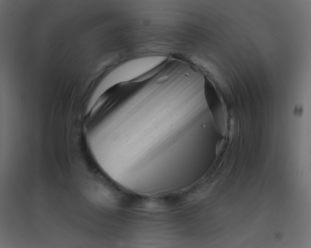 X0000094930308200712131543