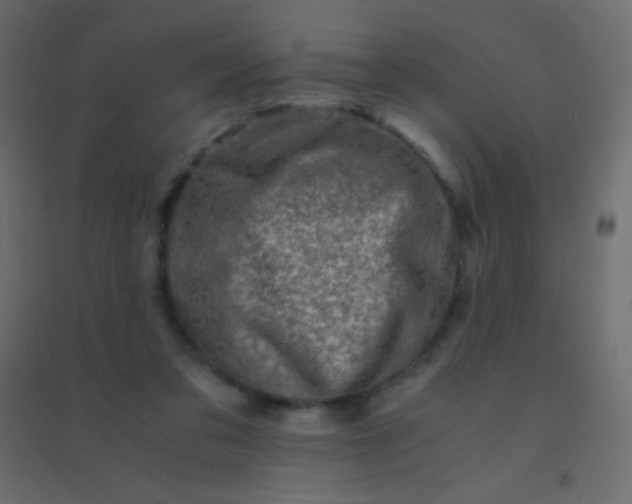 X0000094930309200712131543