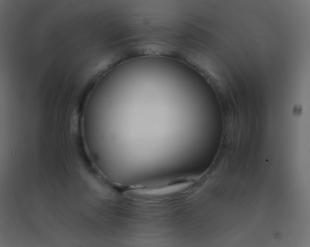 X0000094930310200712131543