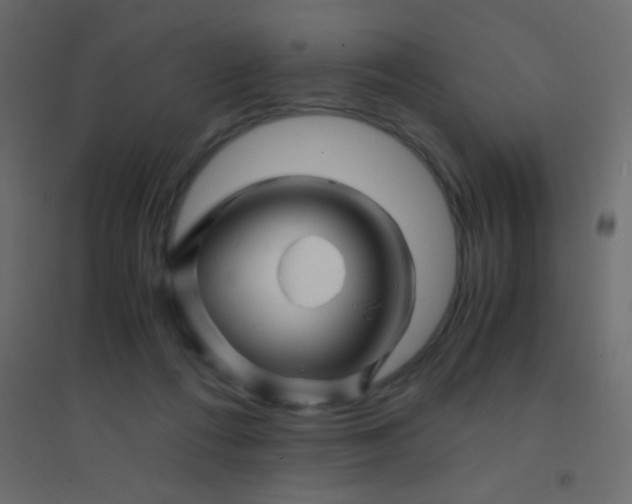 X0000094930312200712131543