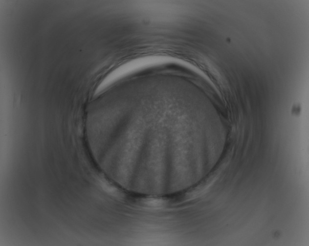 X0000094930313200712131543