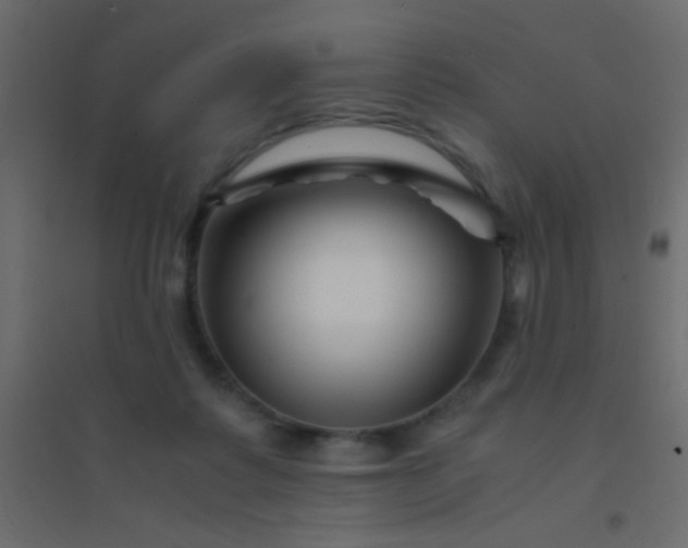 X0000094930315200712131543