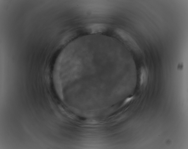 X0000094930316200712131543