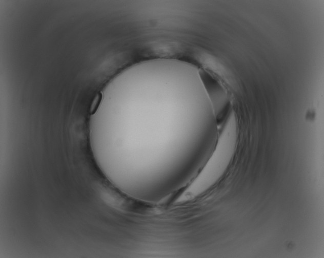 X0000094930317200712131543