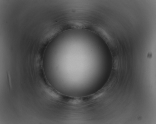X0000094930318200712131543