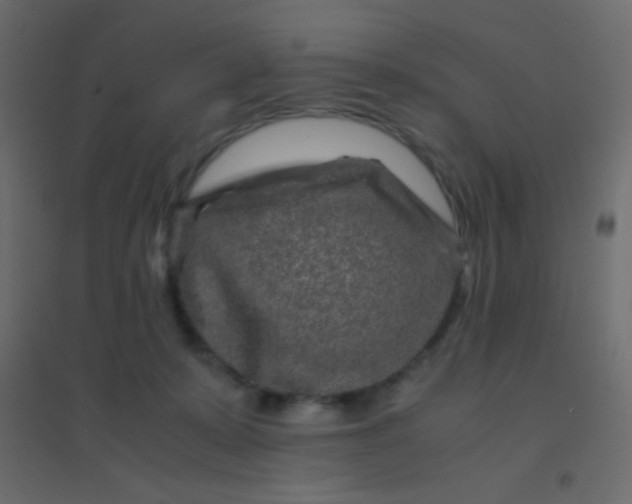 X0000094930319200712131543