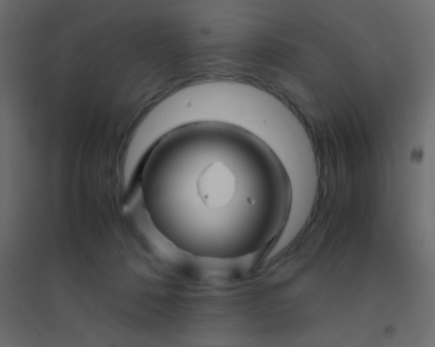 X0000094930320200712131543